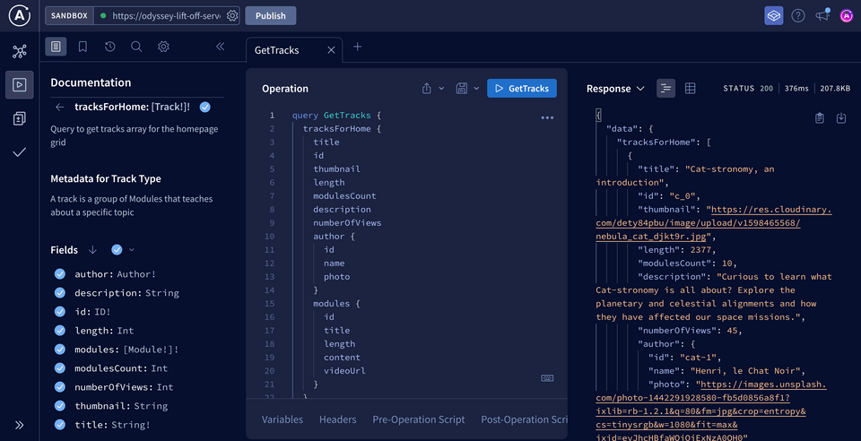 The Response panel in the Explorer showing all of our queried data.