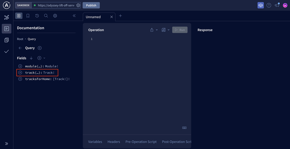 The Explorer opened to show the Query type fields